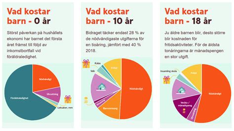 Hur mycket kostar det att vara utbytesstudent i usa